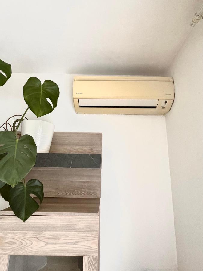 Antibes Home 2P 50M2 With Ac & Free Parking & 2 Balconies Exteriör bild